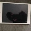 iPad mini
