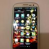 Samsung Galaxy S3, I9300 La Fleur Edition