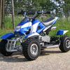 mini ATV 2009