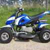 mini ATV 2009