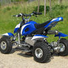 mini ATV 2009