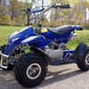 mini ATV 2009