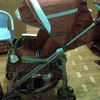 Inglesina Zippy
