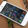 Apple iPhone 5