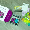 Electro Harmonix Micro Q-Tron Envelope Filt