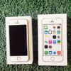 Apple 5 s Gold