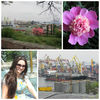 Canon PowerShot SX500 IS